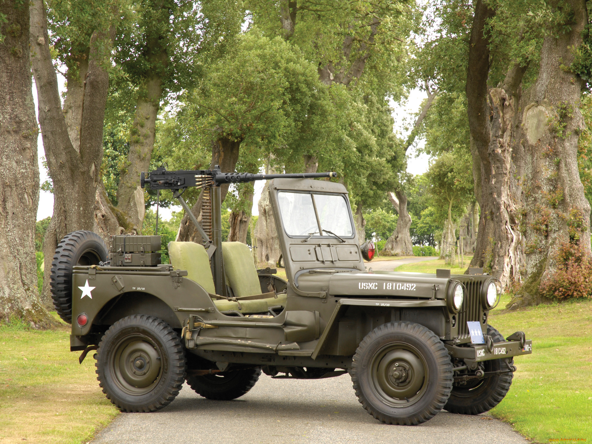 willys m38 jeep 1950, ,  , willys, m38, 1950, jeep